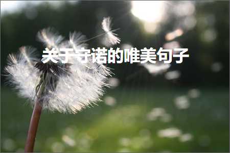 鍏充簬瀹堣鐨勫敮缇庡彞瀛愶紙鏂囨133鏉★級